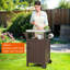 Chariot de barbecue portatif avec rangement, cuisine extérieure en acier inoxydable avec roulettes brun