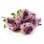 Rose Arrangement