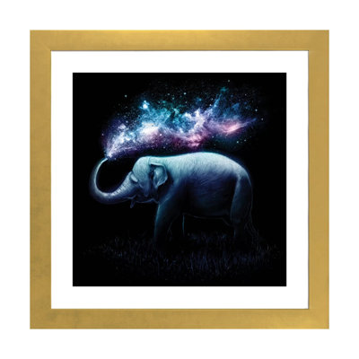 Elephant Splash by Nicebleed - Print