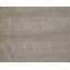 Tiara Floral Area Rug in Gold/Gray-45411008