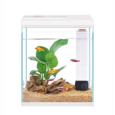 Betta Fish Tank, 2 Gallon Glass Aquarium Starter Kit, Small Fish Tank With Filter And Light.