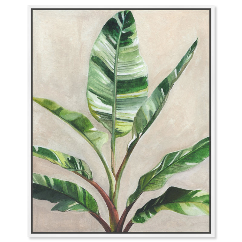 Jolies plantes II - Impression sur toile, Toile avec cadre flottant blanc, H 25 po x l 21 po x P 1,8 po