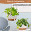 Paquet de 3 jardinières suspendues pour plantes d'intérieur, pot suspendu 10 + 10 + 8 pouces, support à plantes en macramé avec pot, crochets de plafond, soucoupe amovible et trous de drainage pour jardin - blanc