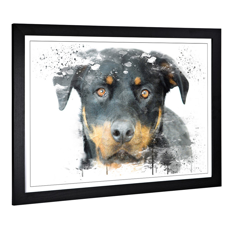 Rottweiler Dog - Wall Art, 45cm H x 62cm W x 3cm D, Black Framed Paper