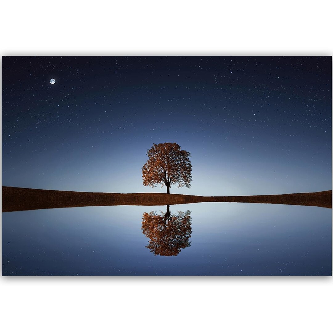 Leinwandbild Baum unter dem Nachthimmel