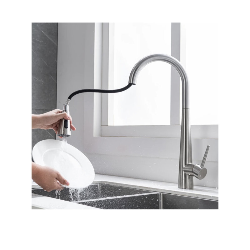 Robinet de cuisine AvaMalis, Chrome brossé