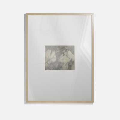 Duchesse D'angouleme Pears Framed Drawing Print