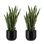 30" Artificial Snake Plants in Black Pots