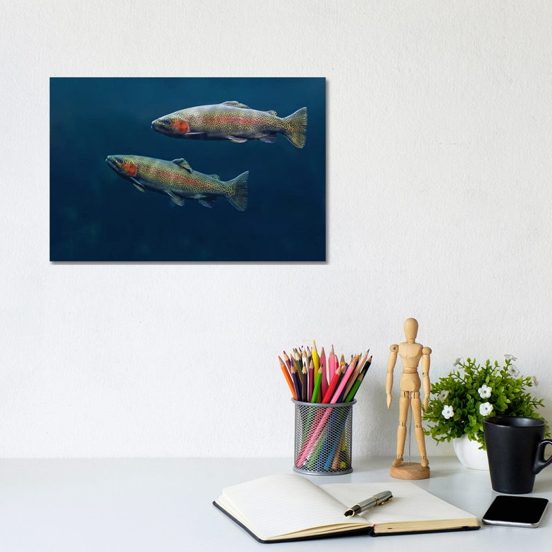 Rainbow Trout Pair Swimming Underwater 1 Piece Wrapped Canvas Wall Art, 20.32 cm H x 30.48 cm W