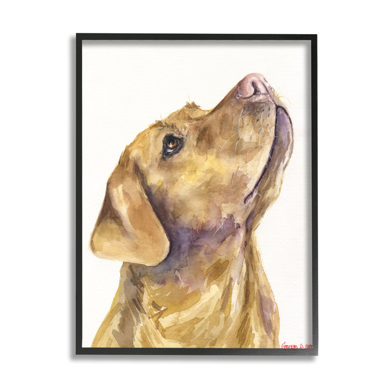 Portrait d'un chien jaune, Giclée encadrée noir minuit, H 20 po x l 16 po