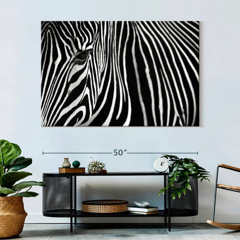 Brampt Zebra In Lisbon Zoo, 34" H x 51" W