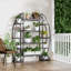 Aikins 125CM L 177CM H Plant Stand
