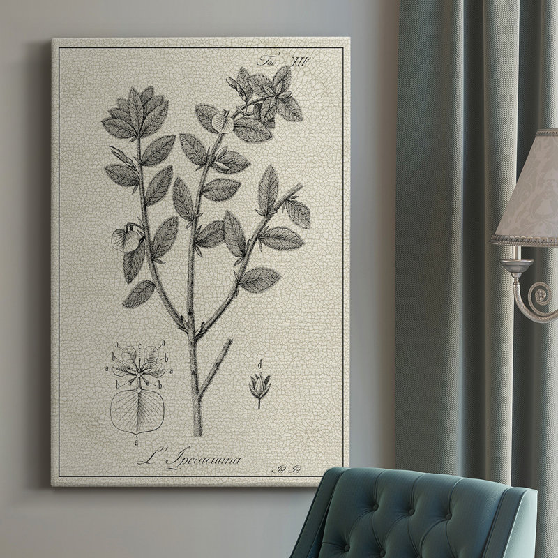 Reproduction d'art sur toile antique antique, H 18 po x l 12 po x P 1 po