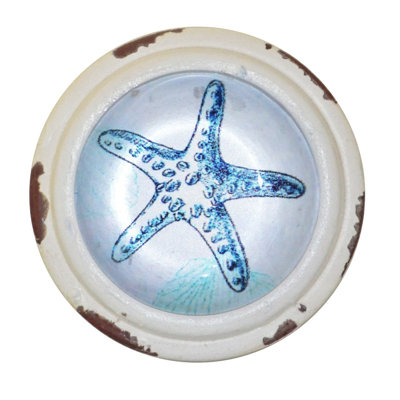 SET OF 4 KNOBS Beach House Starfish Whitewashed Knob
