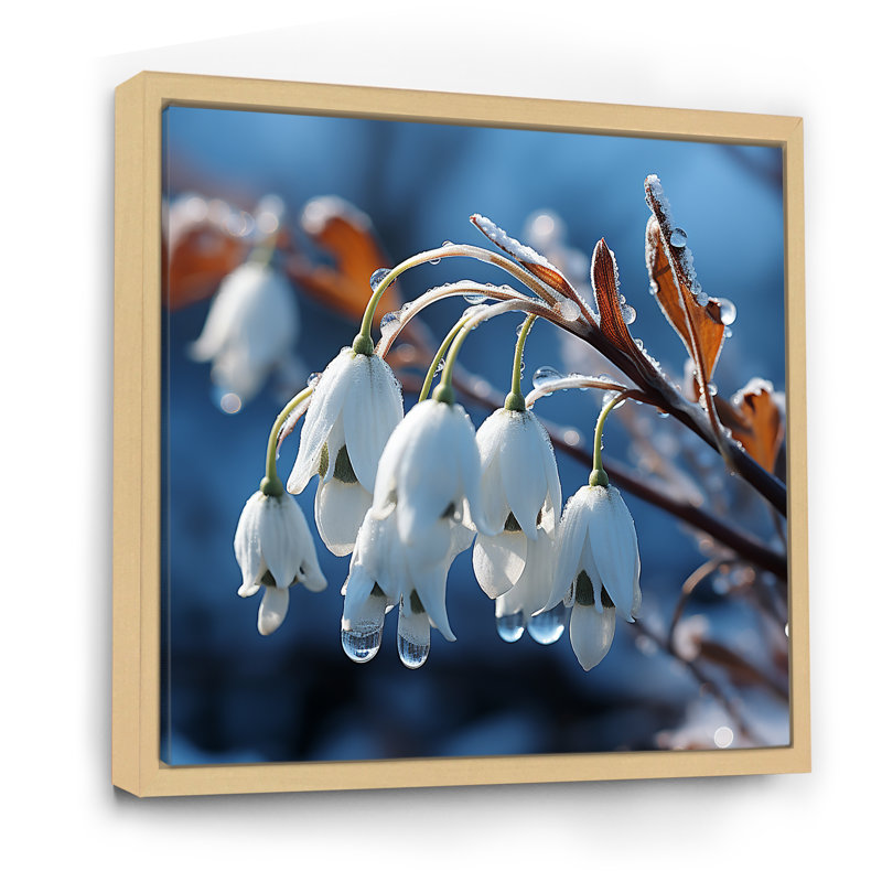 Décoration murale Frost Snowdrop Flower II - Snowdrops, H 24 po x l 24 po x P 1 po, Cadre naturel flottant