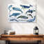 Tableau de Brampt Ocean Mammals-108114985
