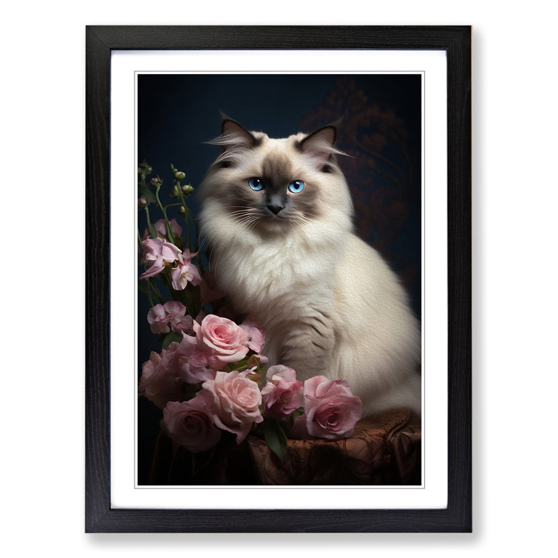 Ragdoll Cat Classicism - Single Picture Frame Print on Wood, Black Framed, 64cm H x 46cm W x 2cm D