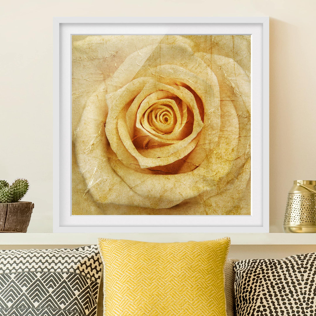 Gerahmtes Papierbild Vintage Rose