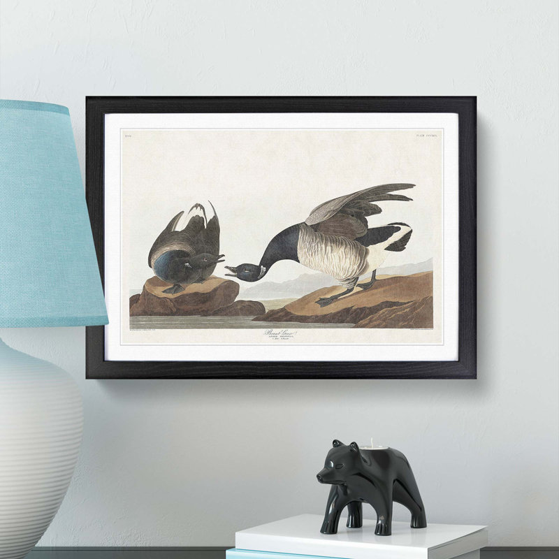 Brant Geese by John Audubon - Picture Frame Painting Print, 36cm H x 48cm W x 2cm D, Black Framed