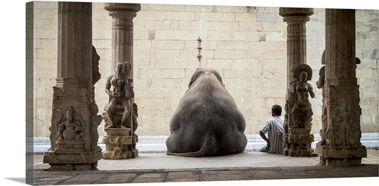 Straub, «The Elephant and Its Mahot», reproduction de photo, H 18 po x l 36 po x P 1,5 po, Toile