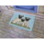 Tapis d'intérieur / extérieur antidérapant pour animaux de compagnie-2063760349