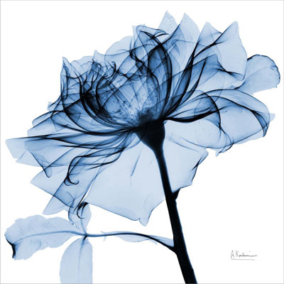 «Indigo Rose 2» par Albert Koetsier - impression sur toile tendue