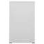 Brighton 46cm Wide 3 -Drawer Steel File Cabinet-88752060