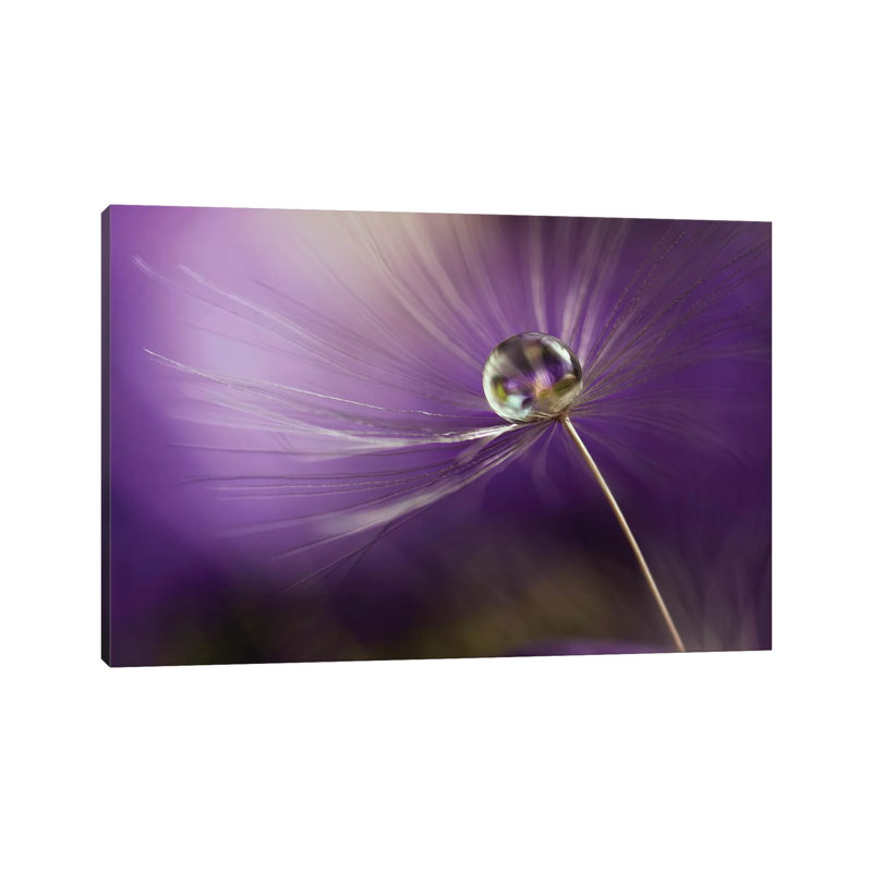 In Shades Of Purple by Heidi Westum - Wrapped Canvas Print, 45.72cm H x 66.04cm W x 1.91cm D