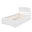 Lit plate-forme avec lit gigogne-1127631888