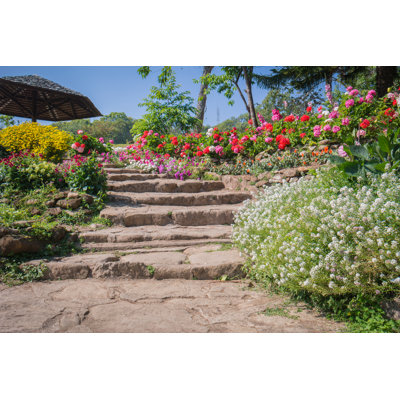 Latova Natural Stairway In The Garden by Amarita - Wrapped Canvas Print