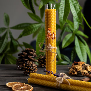 Unscented Taper Candle (Set of 20)