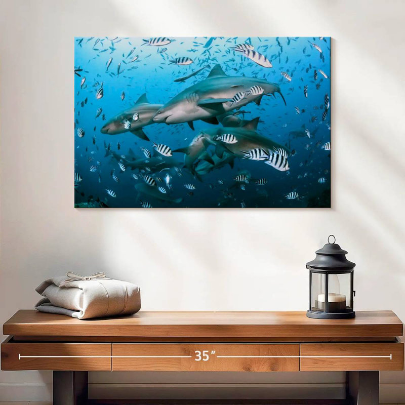 Aletra Beqa Lagoon Sharks, 16" H x 24" W