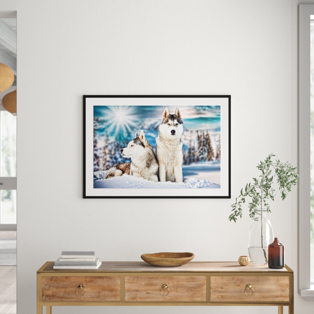 Gerahmtes Poster Zwei wilde Huskies