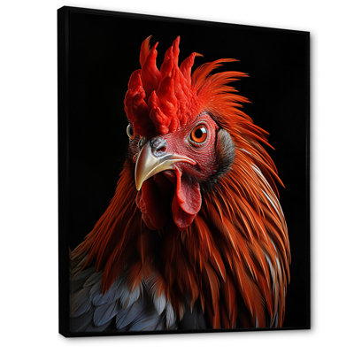 Gros plan d'un coq brun