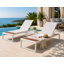 Avra Outdoor Chaise Lounge