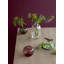 Vase de table en verre fait à la main Primula-86704465-86704464