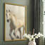 ANIMALS Series CECXL - reproduction encadrée de qualité supérieure - prête à être accrochée - aucun clou requis-2024602031-2024602000
