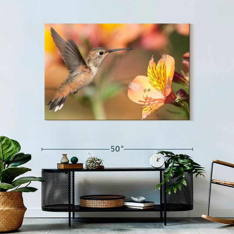 Brampt Charming Hummingbird, 32" H x 48" W
