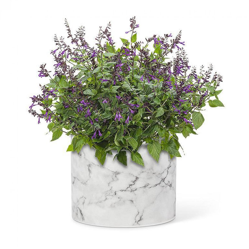Marble Look Planter