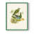 Green Single Picture Framed is unavailable