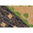 Sterick Wool Indoor Rug