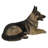 Lying German Shepherd