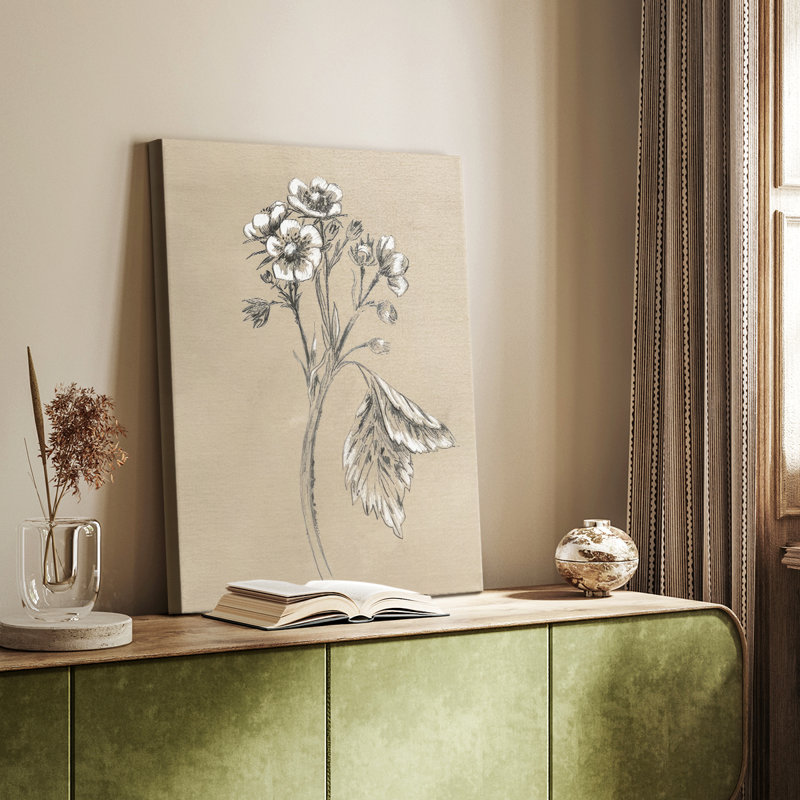 Croquis botanique rétro II - galerie Cavas sur mesure, H 36 po x l 24 po