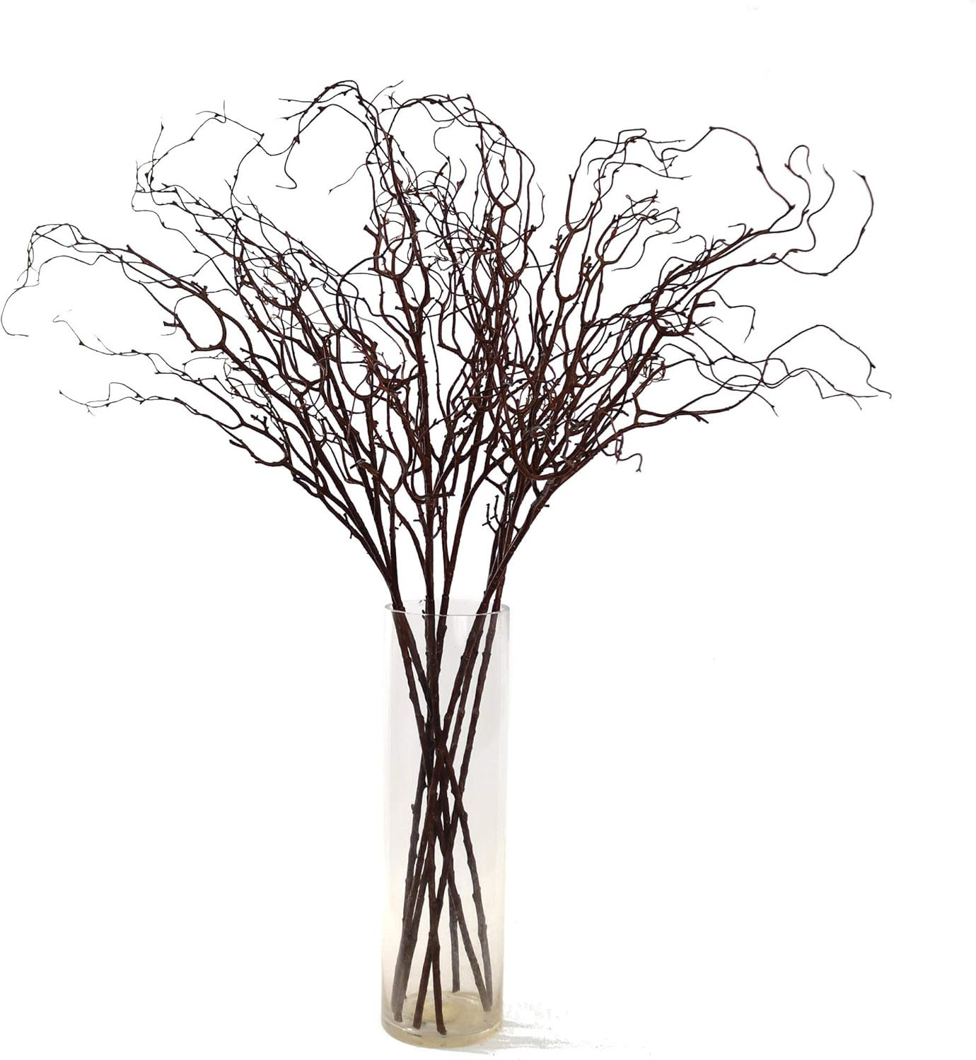 41" Twig Branch