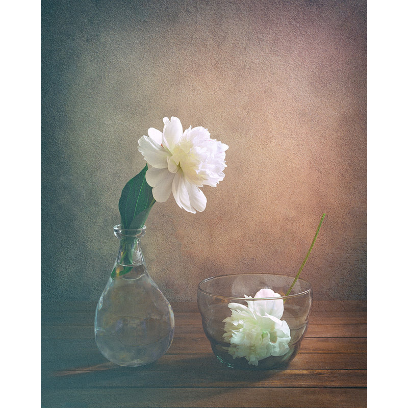 Wrapped Canvas Print, 76.2 cm H x 50.8 cm W
