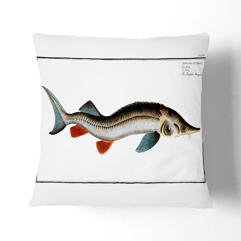 Square Throw Cushion, Black, 55cm H x 55cm W x 20cm D