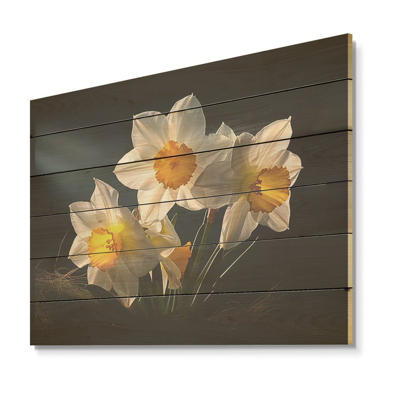 Fleur de jonquilles blanches et jaunes - Art mural en bois jonquilles sur bois de pin naturel, H 10 po x l 20 po