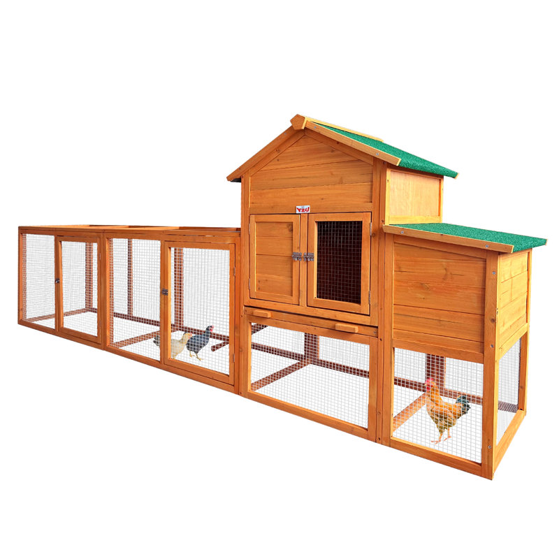 chicken coop
