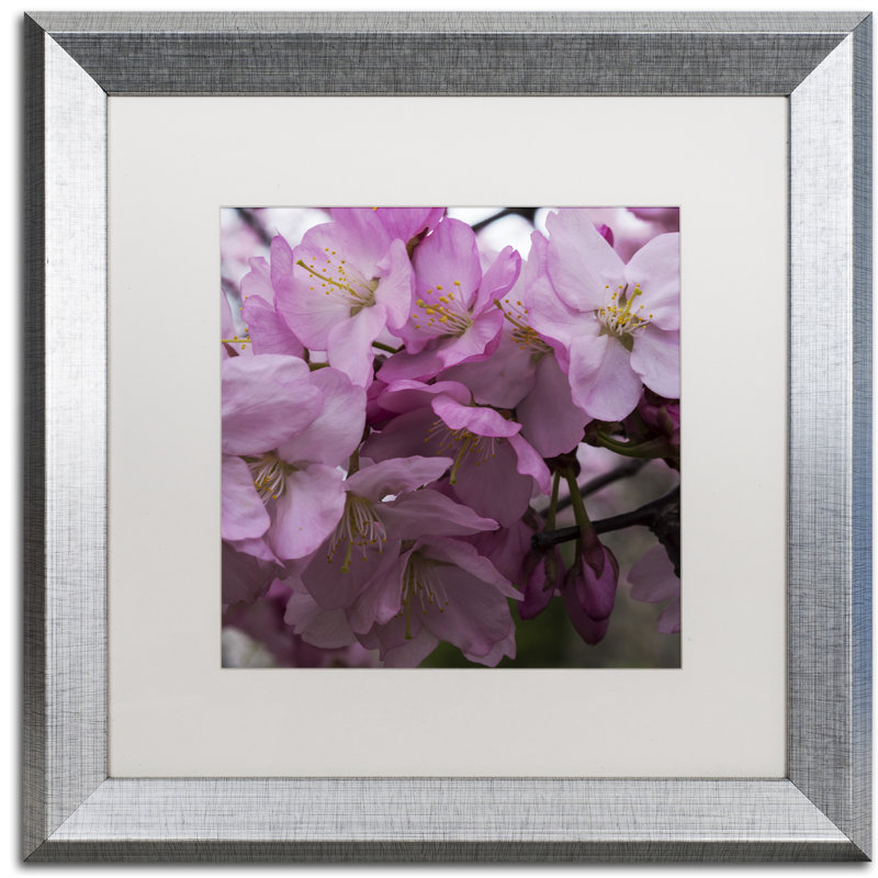 Grappe de fleurs cerise, reproduction de photo encadrée, H 16 po x l 16 po x P 0,5 po, Blanc