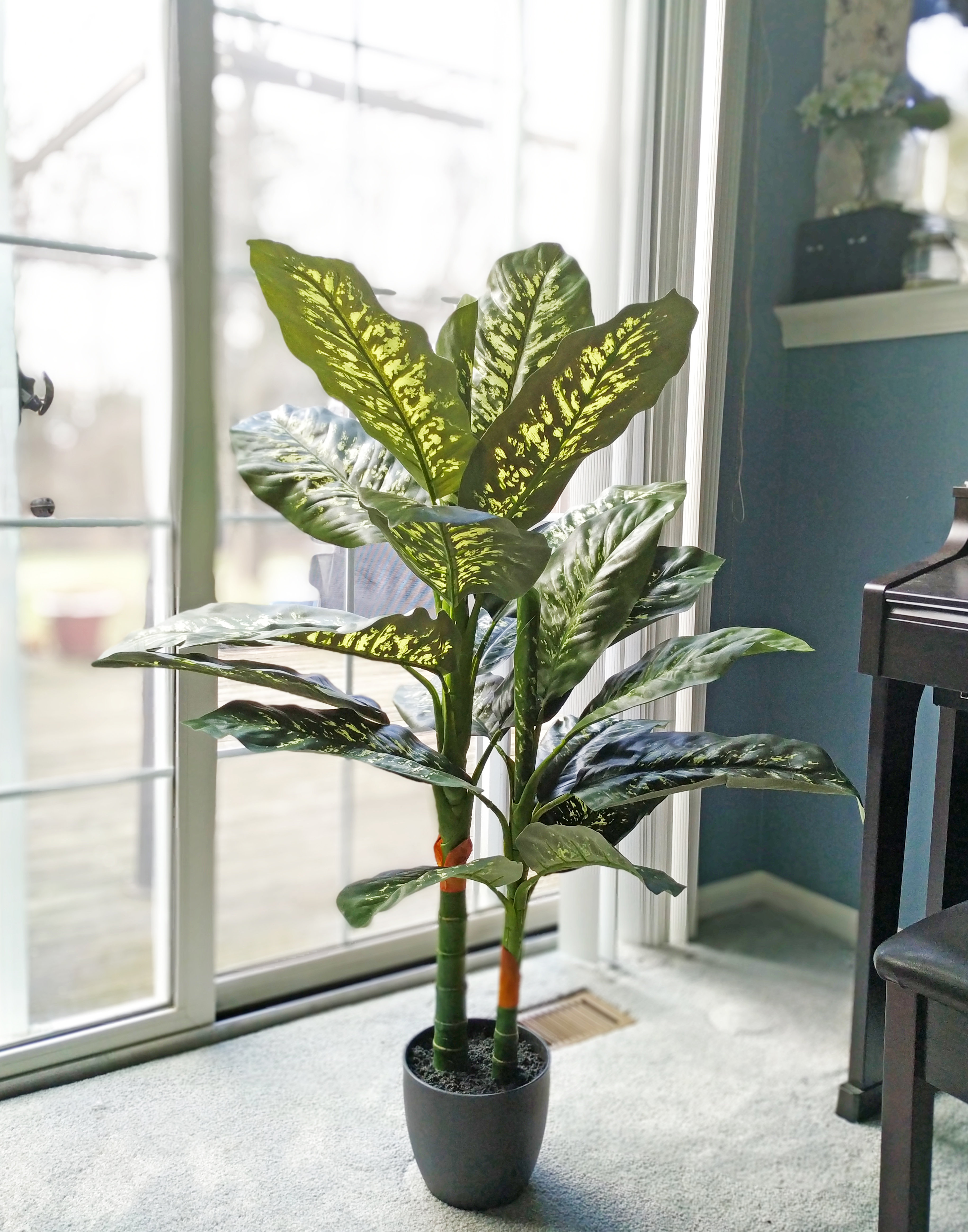 Primrue 42" Artificial Dieffenbachia Tree in Pot & Reviews | Wayfair